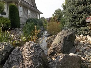 Creek Beside Clubhouse