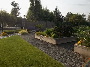 Community Garden Plot