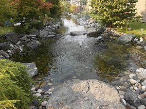 Upper Creek Pool