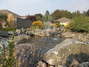 Lower Creek Pool