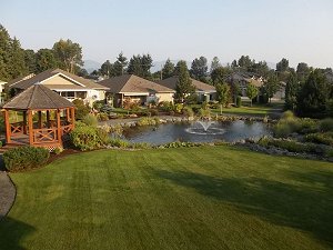 Pond & Gazebo